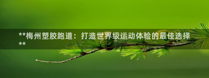 尊龙ag旗舰官网