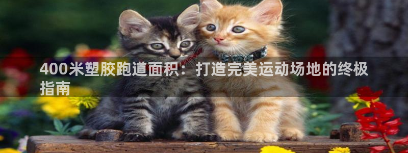 尊龙 10：400米塑胶跑道面积：打造完美运动场地的终极
指南