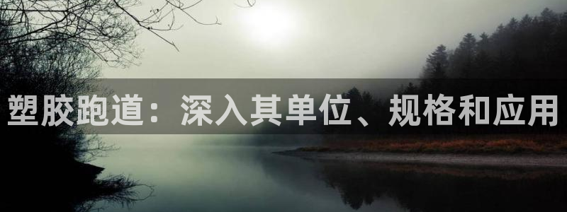 尊龙凯时网站网址