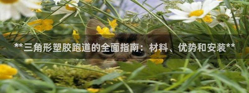 尊龙人生就是博手机版下载：**三角形塑胶跑道的全面指南：材料、优势和安装**