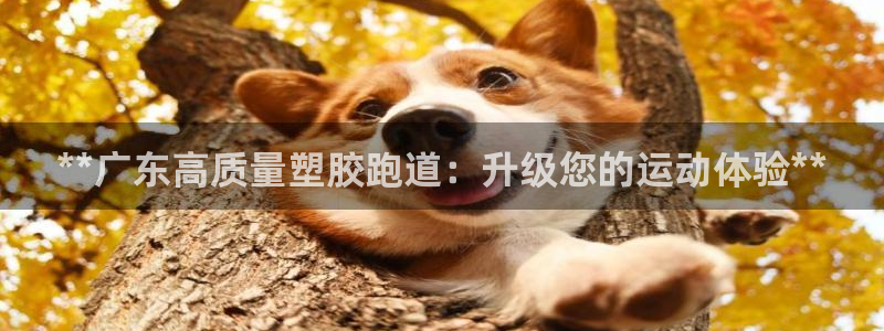 尊龙官网下载