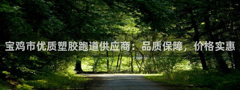 尊龙人生就是博旧版网址：宝鸡市优质塑胶跑道供应商：品