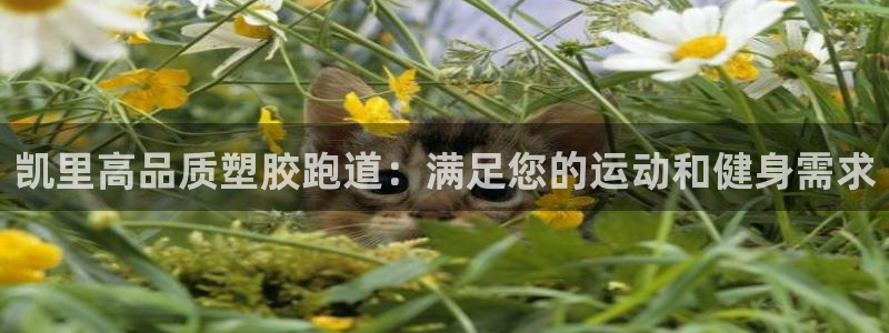 尊龙官网首页：凯里高品质塑胶跑道：满足您的运动和健身