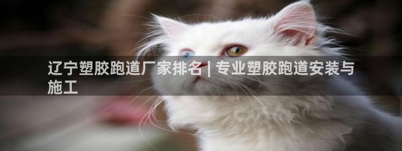 尊龙凯时的最新消息：辽宁塑胶跑道厂家排名 | 专业塑胶跑道安装与
施工