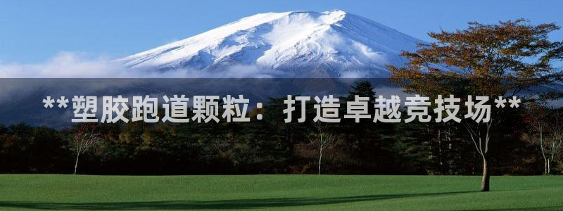 z6尊龙凯时ag旗舰厅：**塑胶跑道颗粒：打造卓越竞技场**