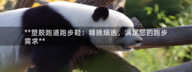 尊龙凯时几百万怎么下