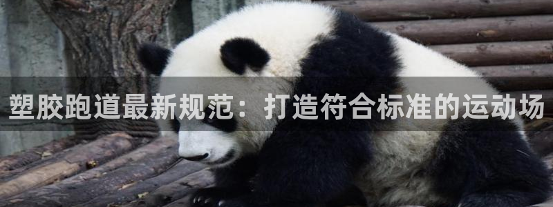 尊龙d88手机app免费下载：塑胶跑道最新规范：打造