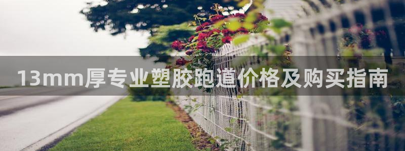 尊龙凯时为什么输了钱：13mm厚专业塑胶跑道价格及购买指南