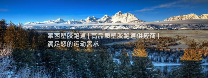 尊龙 5：莱西塑胶跑道 | 高品质塑胶跑道供应商 | 
满足您的运动需求
