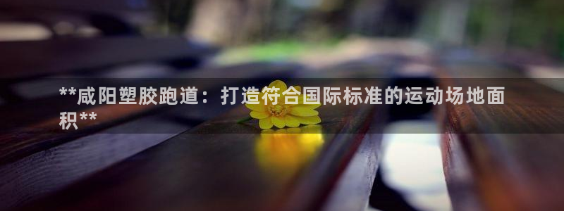 尊龙d88官网登录苹果版下载：**咸阳塑胶跑道：打造符合国际标准的运动场地面
积**