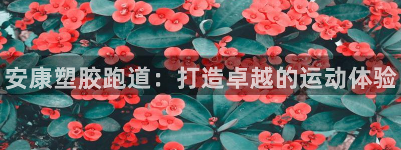 尊龙官网/首选kpm：安康塑胶跑道：打造卓越的运动体