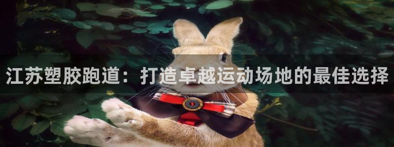 尊龙官方：江苏塑胶跑道：打造卓越运动场地的最佳选择