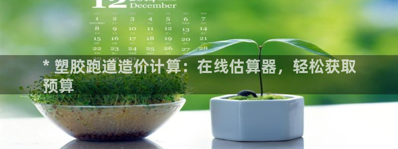 凯时官网的售后服务：* 塑胶跑道造价计算：在线估算器，轻松获取
预算