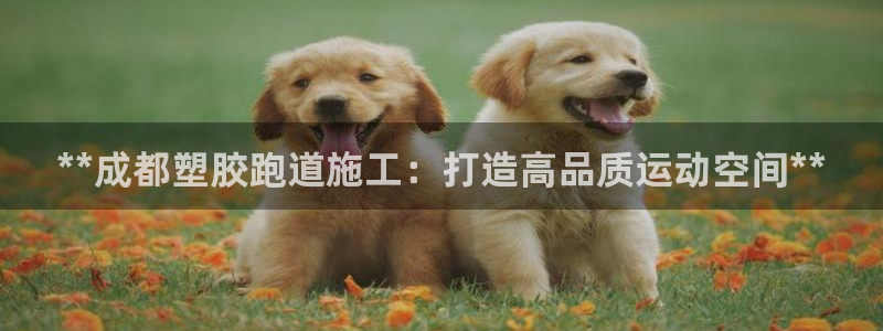 z6尊龙凯时ag旗舰厅：**成都塑胶跑道施工：打造高品质运动空间**
