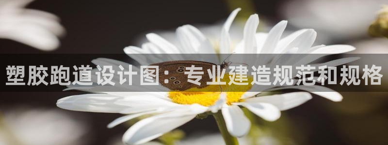尊龙人生就是博登录首页：塑胶跑道设计图：专业建造规范和规格