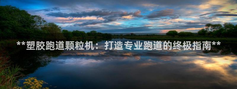 尊龙集团有限公司：**塑胶跑道颗粒机：打造专业跑道的