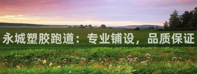 尊龙凯时处理未到账：永城塑胶跑道：专业铺设，品质保证