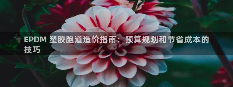 尊龙凯时-人生就是博中国官网最新：EPDM 塑胶跑道