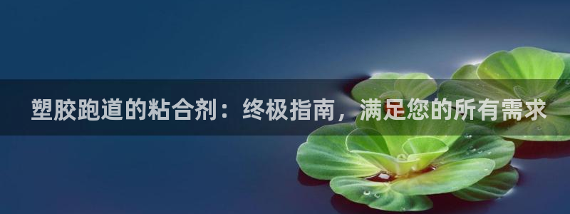 Z6尊龙凯时官方： 塑胶跑道的粘合剂：终极指南，满足您的所有需求