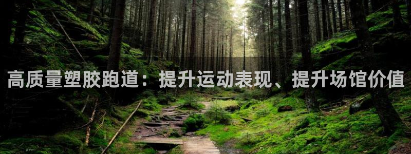 尊龙凯时人生就是博·(中国)官网最新：高质量塑胶跑道