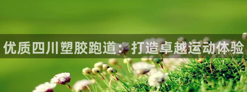 尊龙凯时网站首页手机登录：优质四川塑胶跑道：打造卓越运动体验