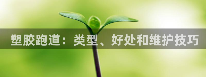 z6尊龙z6： 塑胶跑道：类型、好处和维护技巧