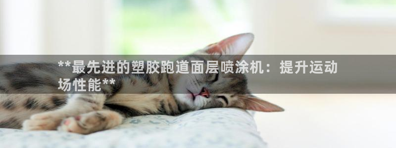 尊龙ag旗舰厅登录 租车app下载：**最先进的塑胶跑道面层喷涂机：提升运动
场性能**
