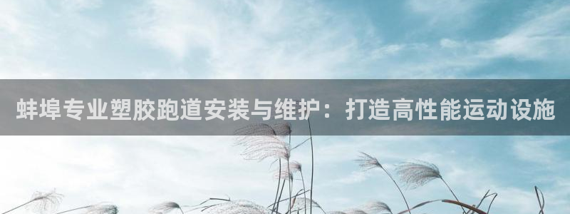 尊龙凯时一人生就是博官网：蚌埠专业塑胶跑道安装与维护：打造高性能运动设施