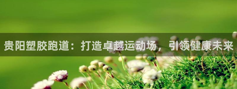 尊龙手机官方客户端下载安装：贵阳塑胶跑道：打造卓越运动场，引领健康未来