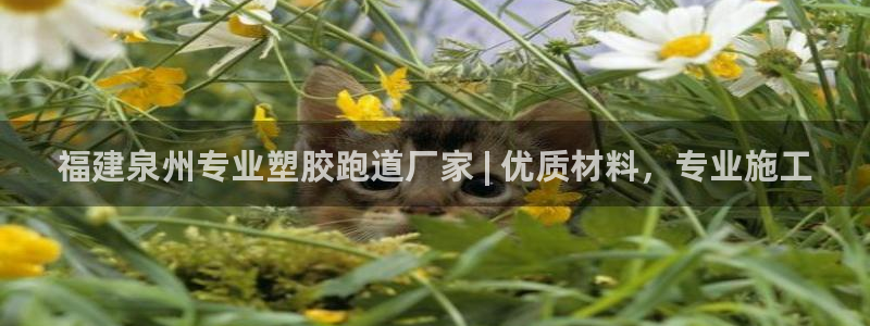 尊龙coming to my own：福建泉州专业塑胶跑道厂家 | 优质材料，专业施工