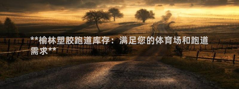 Z6尊龙官网入口：**榆林塑胶跑道库存：满足您的体育场和跑道
需求**