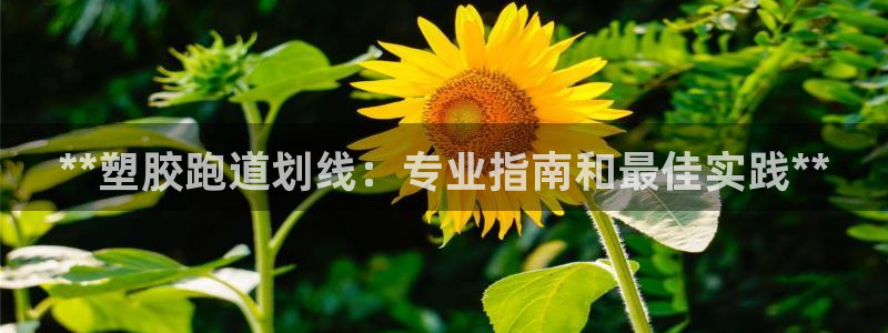 尊龙登录地址：**塑胶跑道划线：专业指南和最佳实践**