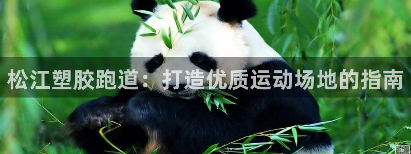 尊龙登录地址：松江塑胶跑道：打造优质运动场地的指南