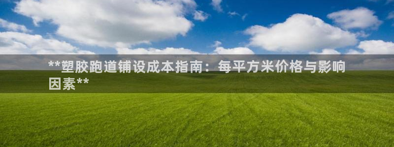 尊龙内地：**塑胶跑道铺设成本指南：每平方米价格与影响
因素**