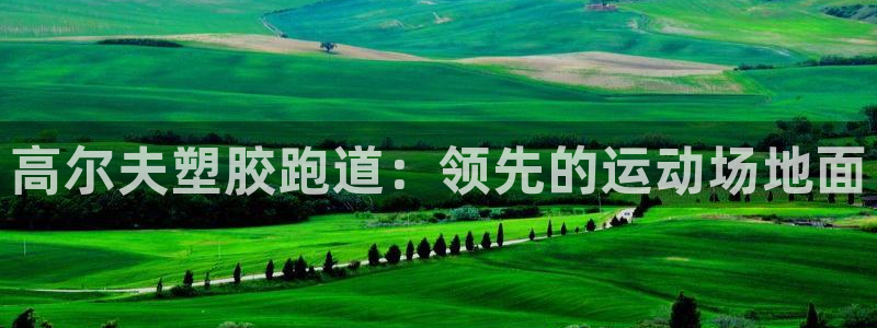 凯时平台官网RA来就送38：高尔夫塑胶跑道：领先的运动场地面