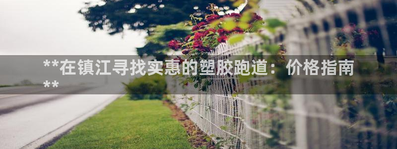 尊龙怎么没消息了：**在镇江寻找实惠的塑胶跑道：价格指南
**