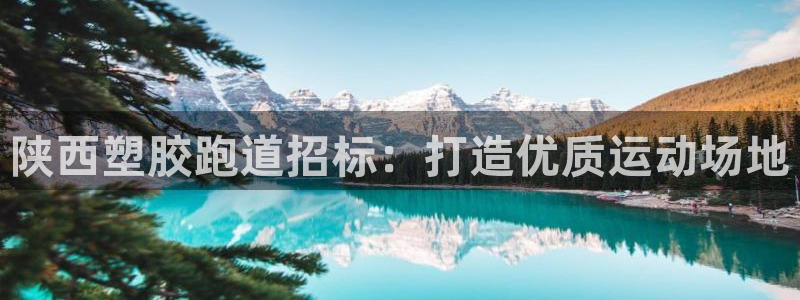 尊龙凯时官网正规吗：陕西塑胶跑道招标：打造优质运动场