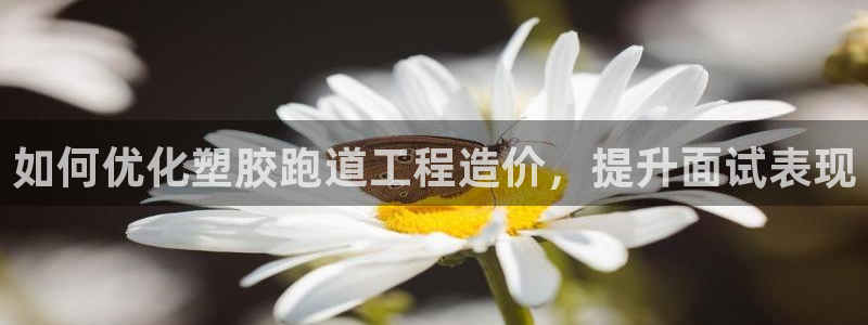 尊龙凯时电竞注册：如何优化塑胶跑道工程造价，提升面试表现
