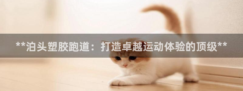 尊龙d88平台登录：**泊头塑胶跑道：打造卓越运动体验的顶级**