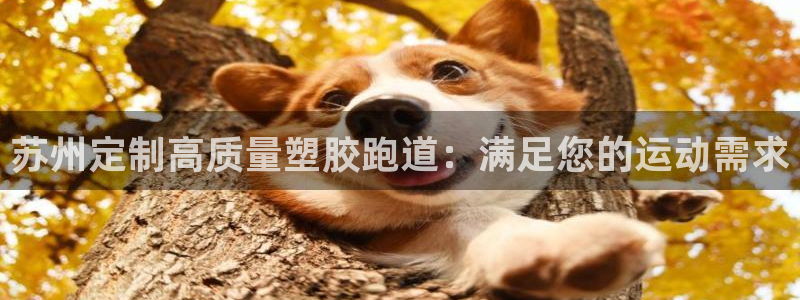 尊龙ag：苏州定制高质量塑胶跑道：满足您的运动需求