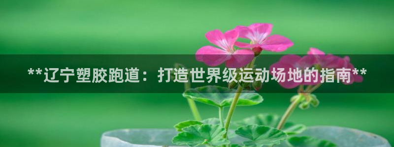 尊龙凯时是直营吗：**辽宁塑胶跑道：打造世界级运动场地的指南**