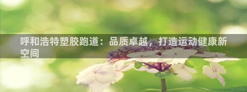 尊龙官网/首选kpm：呼和浩特塑胶跑道：品质卓越，打造运动健康新
空间
