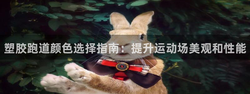 尊龙AG旗舰厅官网：塑胶跑道颜色选择指南：提升运动场美观和性能