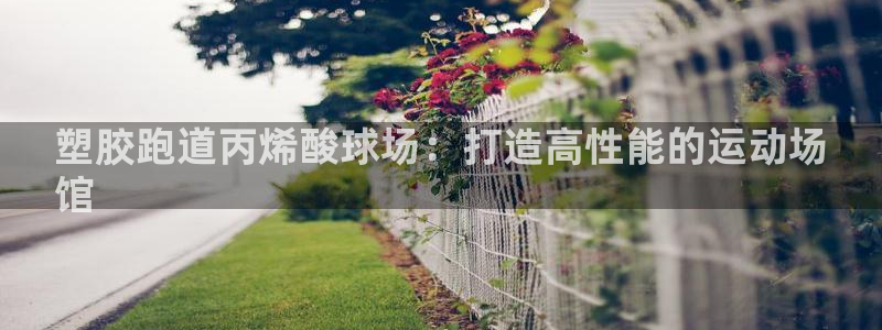尊龙用现金一下可靠送38元：塑胶跑道丙烯酸球场：打造高性能的