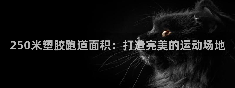 凯时app官方首页：250米塑胶跑道面积：打造完美的运动场地