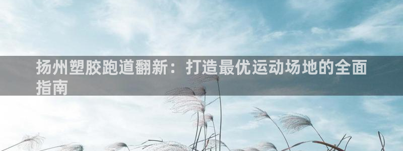 尊龙服饰有限公司地址：扬州塑胶跑道翻新：打造最优运动场地的全