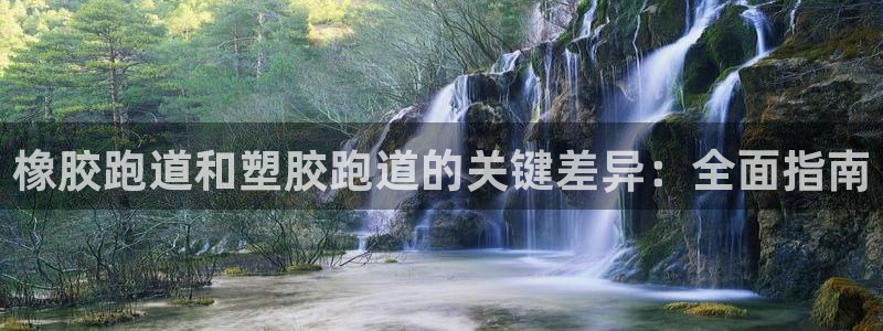 尊龙最经典的三个角色：橡胶跑道和塑胶跑道的关键差异：全面指南