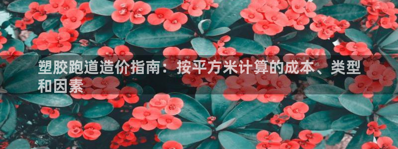 尊龙王t400
