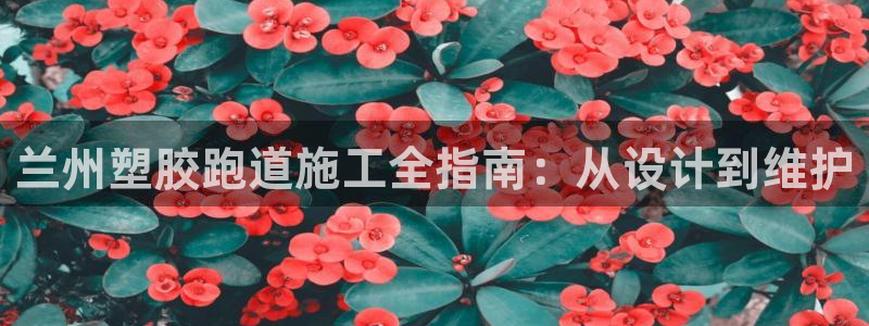 尊龙 10：兰州塑胶跑道施工全指南：从设计到维护