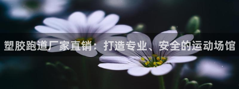 旧版尊龙人生就是博下载：塑胶跑道厂家直销：打造专业、安全的运动场馆